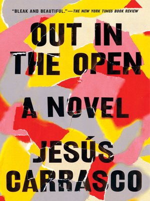 cover image of Out in the Open